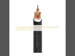 Low Voltage Fire Rated Cable Fire Resistant Cable 0.6/1kV CU/XLPE/PE YJY N2X2Y